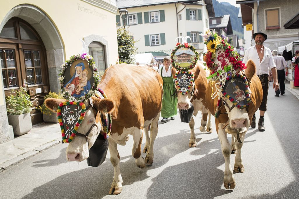Almabtrieb an den Bauernherbst Festivitäten (c) Florian Bachmeier (TVB Raurisertal)