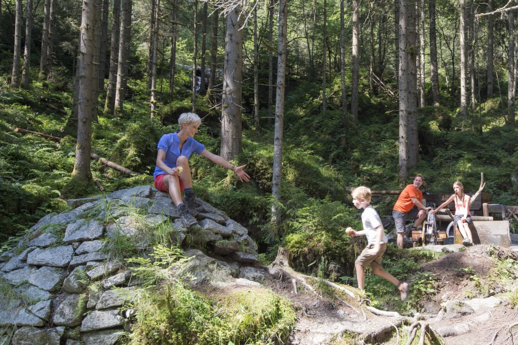 Familie genießt Wanderpause im Wald (c)Wildkogel - Arena Neukirchen &amp; Bramberg