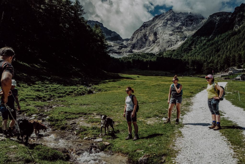 Geführte Wanderungen mit Hund (Wanderhotel Vinschgerhof)