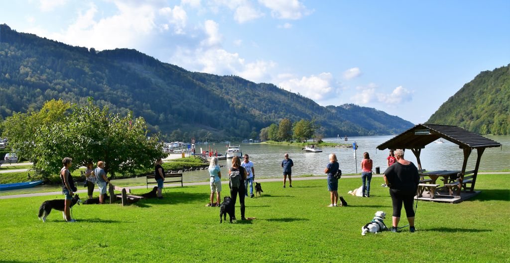 Hundeseminar mit dem Dog-Profi (c) Sascha Steiner (Riverresort Donauschlinge)