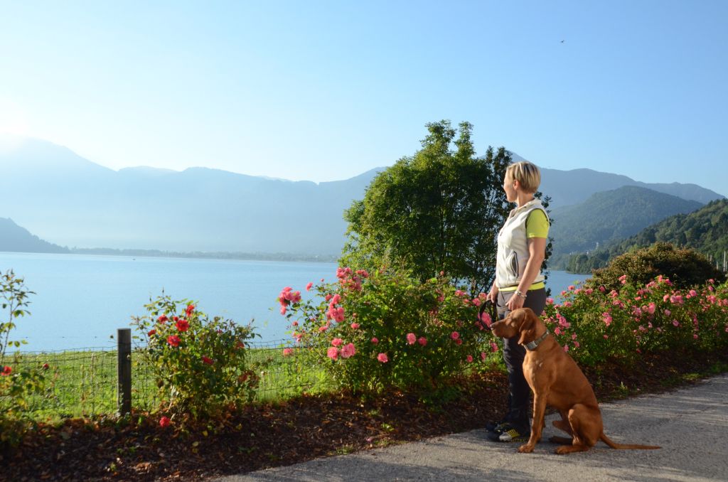 Spaziergang mit dem Hund am Lago di Caldonazzo (c) G. Libardi (TVB Valsugana Lagorai)