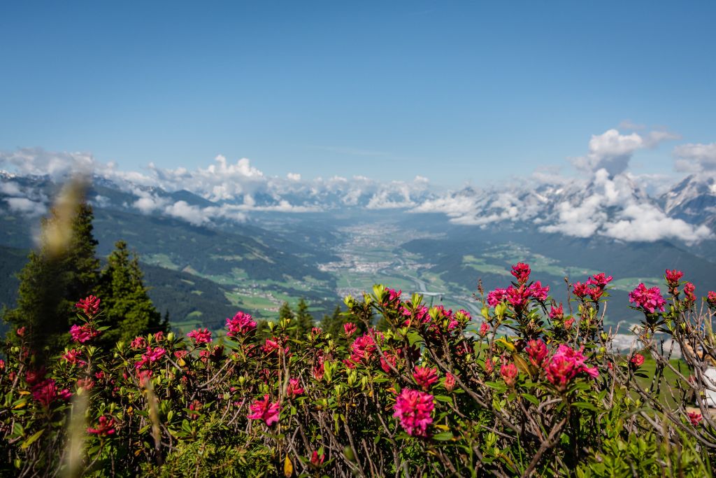 Wunderschöner Bergblick (c) Angélica Morales (Silberregion Karwendel)