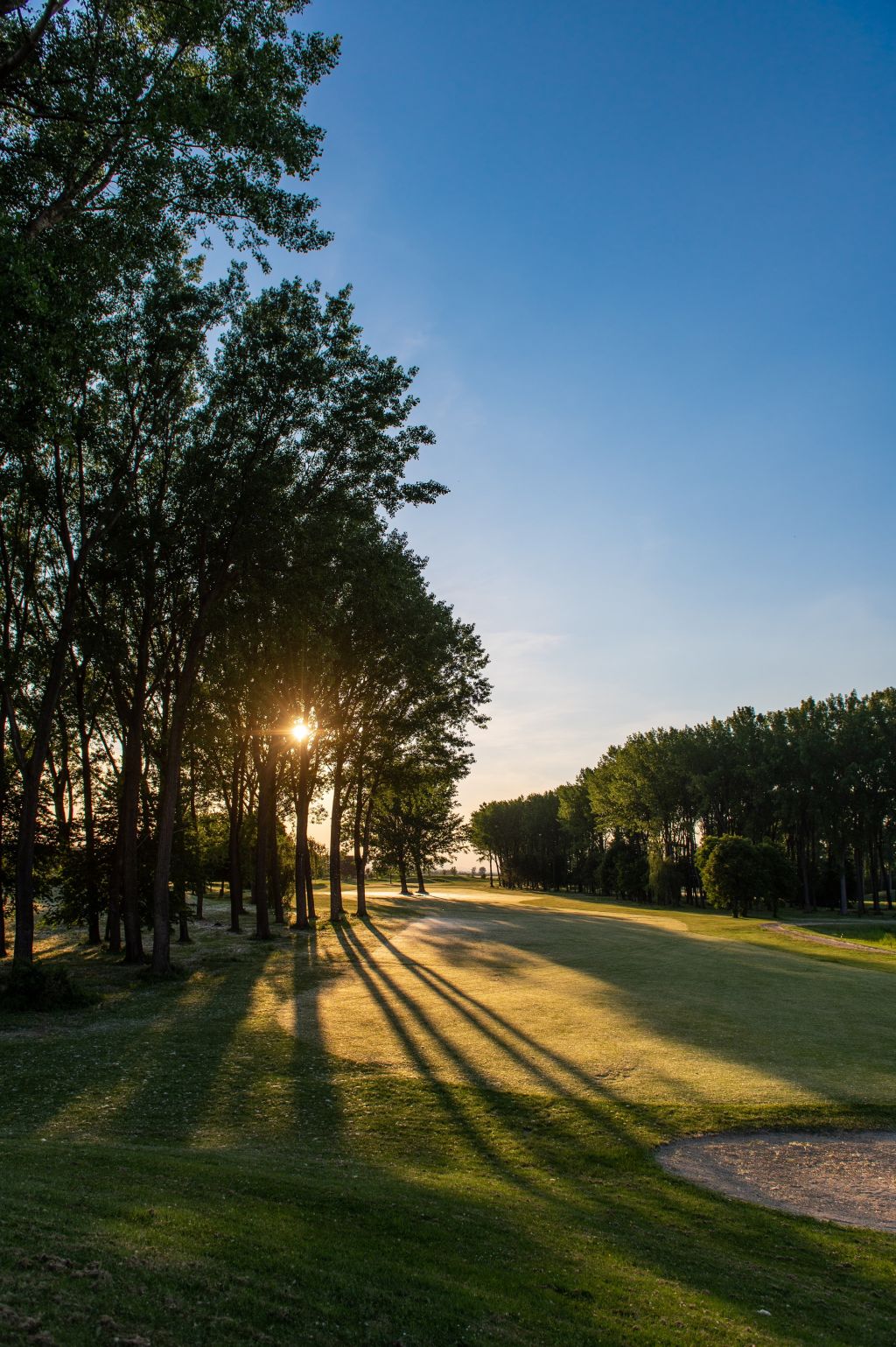 Wunderschöner Golfplatz umgeben von Bäumen (Greenfield Hotel &amp; Spa)