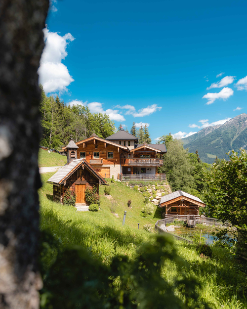 Ausblick auf den tollen Naturbadeteich (c) Daniel Kogler (Naturdorf Oberkühnreit)