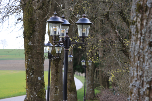 Baumallee mit Beleuchtung (c) Vils Residenz