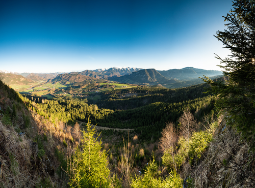 Den Nationalpark erleben (c) Stefan Leitner (Fourelments)