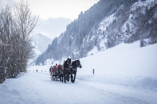 Durch das Winterwunderland mit dem Pferdeschlitten (c) Florian Bachmeier (Tourismusverband Rauris)