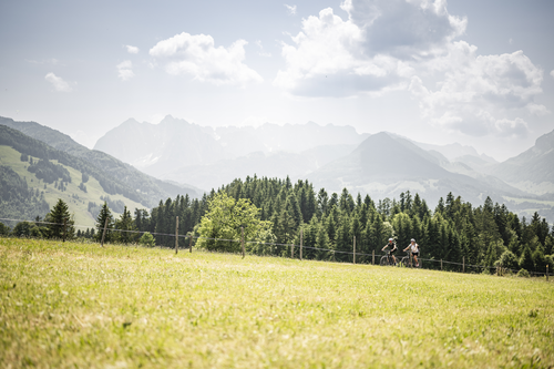 E-Bike fahrern (c) Hannes Niederkofler (Hotel Peternhof)