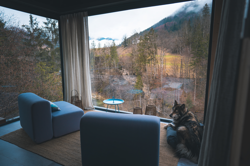 Ein Paradies für Hunde (c) Johnson Sophie (Fourelements) 