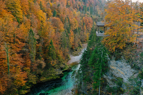 Erstaunliche Aussicht auf den goldenen Herbst (Fourelements)
