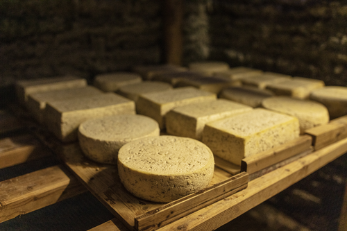 Herstellung von leckerem Almkäse (c) Florian Bachmeier (Tourismusverband Rauris)