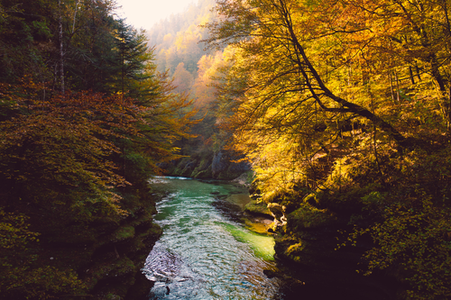 Idyllischer Fluss (c) Stefan Leitner (Fourelements)