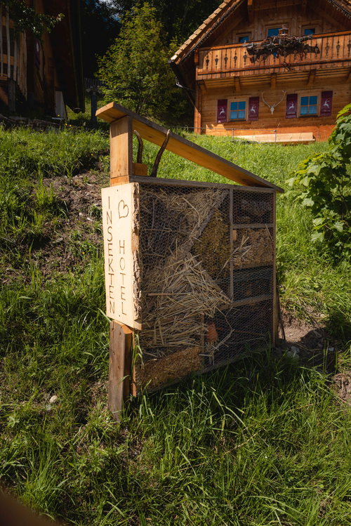 Im Naturdorf finden selbst Insekten ihren Platz (c) Daniel Kogler (Naturdorf Oberkühnreit)