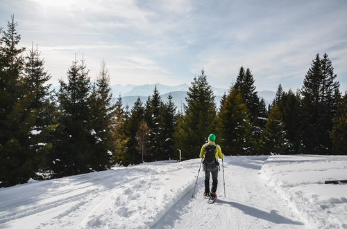 Schneeschuhwanderung in der traumhaften Natur © Marika Unterladstätter (Tratterhof)
