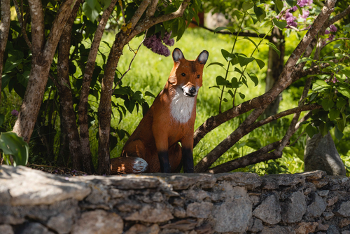 Tierbesuch im Naturdorf (c) Daniel Kogler (Naturdorf Oberkühnreit)