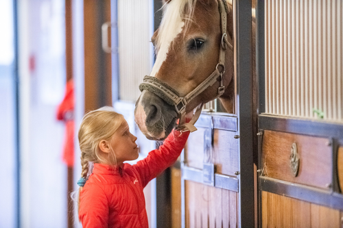 Tierischer Spaß © Quellenhof Luxury Resort Passeier