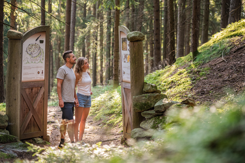 Unterwegs in der Natur (c) Harald Wisthaler (Kronplatz Brand)