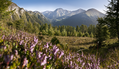 Wandern in den Bergen  © Andrea Badrutt (Hotel Belvedere)