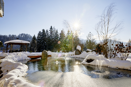 Wintersonne genießen (Panorama Royal)