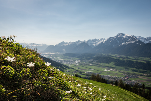 Wunderschöner Ausblick auf die Alpen (Silberregion Karwendel)