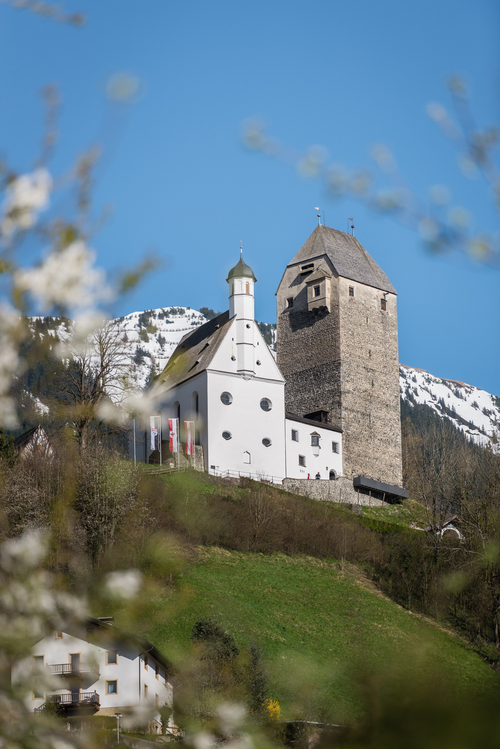 Wunderschönes Denkmal vor den Bergen (Silberregion Karwendel)