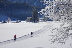 45 km Langlaufvergnügen (c)Wildkogel - Arena Neukirchen &amp; Bramberg 