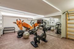 Ansprechendes Fitnessstudio (Quality Hotel Vienna)