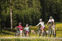 Biken mit der ganzen Familie (c) Andre Schönherr (TVB Stubai Tirol)