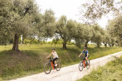 Biken (Quellenhof Luxury Resort Lazise)