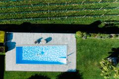 Blick auf den Pool direkt neben den Weinbergen (c) Daniel Zangerl (Hotel Paradies)
