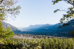 Blick auf Meran vom Dorf Tirol (c) Daniel Zangler (Hotel Paradies)