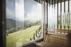 Blick von der Hell Sauna ins Grüne (Alpin Panorama Hotel Hubertus)