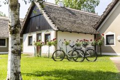 Bungalows mit Fahrrädern (VILA VITA Pannonia)
