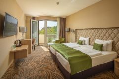 Classic Double Room (Greenfield Hotel &amp; Spa)