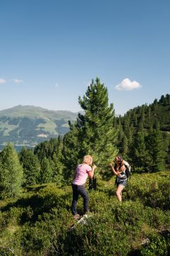 Düfte der Natur genießen (Tourismusverband Krimml)