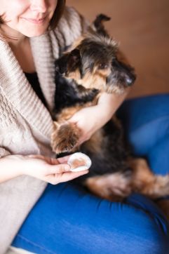 Gurwavet zum Auftragen für den Hund (SonnenMoor)