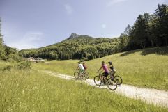 Herrliche Aussicht beim Radfahren (Ebner&#039;s Waldhof)