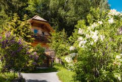 Hüttenflair genießen inmitten von purer Natur (c) Daniel Kogler (Naturdorf Oberkühnreit)