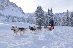 Husky-Schlittenfahrt (c) Greta Bonavoglia (Dolomitenregion Kronplatz)