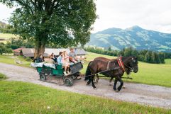 Kutschenfahrt mit sommerlicher Berglandschaft (c) Ringler (Das Hopfgarten Familotel)