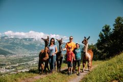 Lama und Alpaka Trekking für die Familie (c) Liechtenstein Marketing