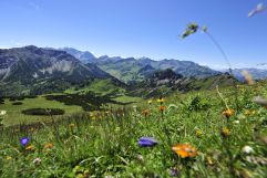 Malerische Wanderungen im Berg- und Talgebiet (Liechtenstein Marketing)