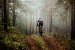 Mountainbiken durch tiefste Wälder (Hotel Blü Gastein)