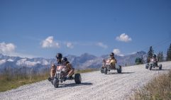 Mountaincart im Sommer (Wildkogel Arena Neukirchen &amp; Bramberg)