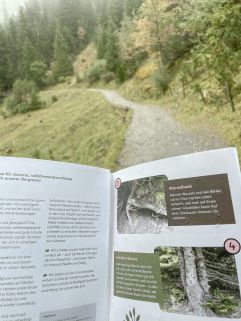 Natur Abenteuer Weg macht das Wandern interessanter (Gorfion Familotel Liechtenstein)