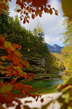 Naturparadies (Fourelements)