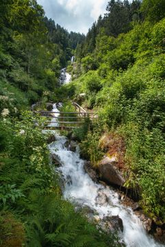Naturpfad zum Wasserfall (c) Alexander Pichler (Kronplatz Brand)