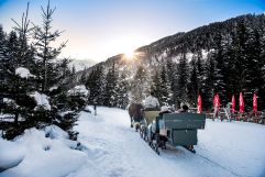 Pferdekutschenfahrt in Gastein (c) Creatina (IMPULS HOTEL TIROL)