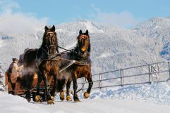 Pferdeschlittenfahrt in der verschneiten Landschaft (Vitalhotel Gosau)
