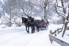 Romantische Pferdeschlittenfahrt in verträumter Winterlandschaft (c) Florian Bachmeier (Tourismusverband Rauris)